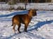 Berry zima 2003-04